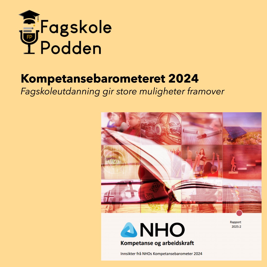 Kompetansebarometeret 2024 (1)